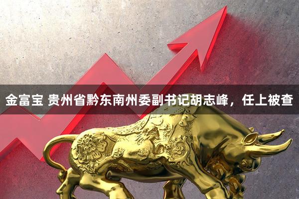 金富宝 贵州省黔东南州委副书记胡志峰，任上被查