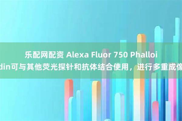 乐配网配资 Alexa Fluor 750 Phalloidin可与其他荧光探针和抗体结合使用，进行多重成像